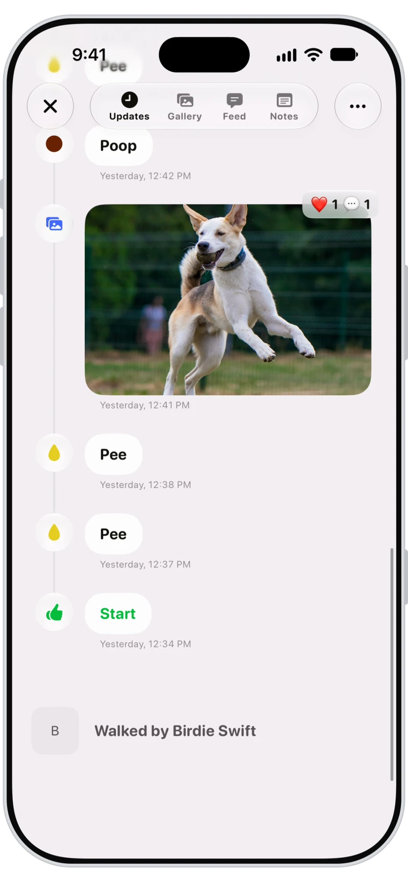 Walk report in the Walkies Journal app with pees, poops and a photo with reactions