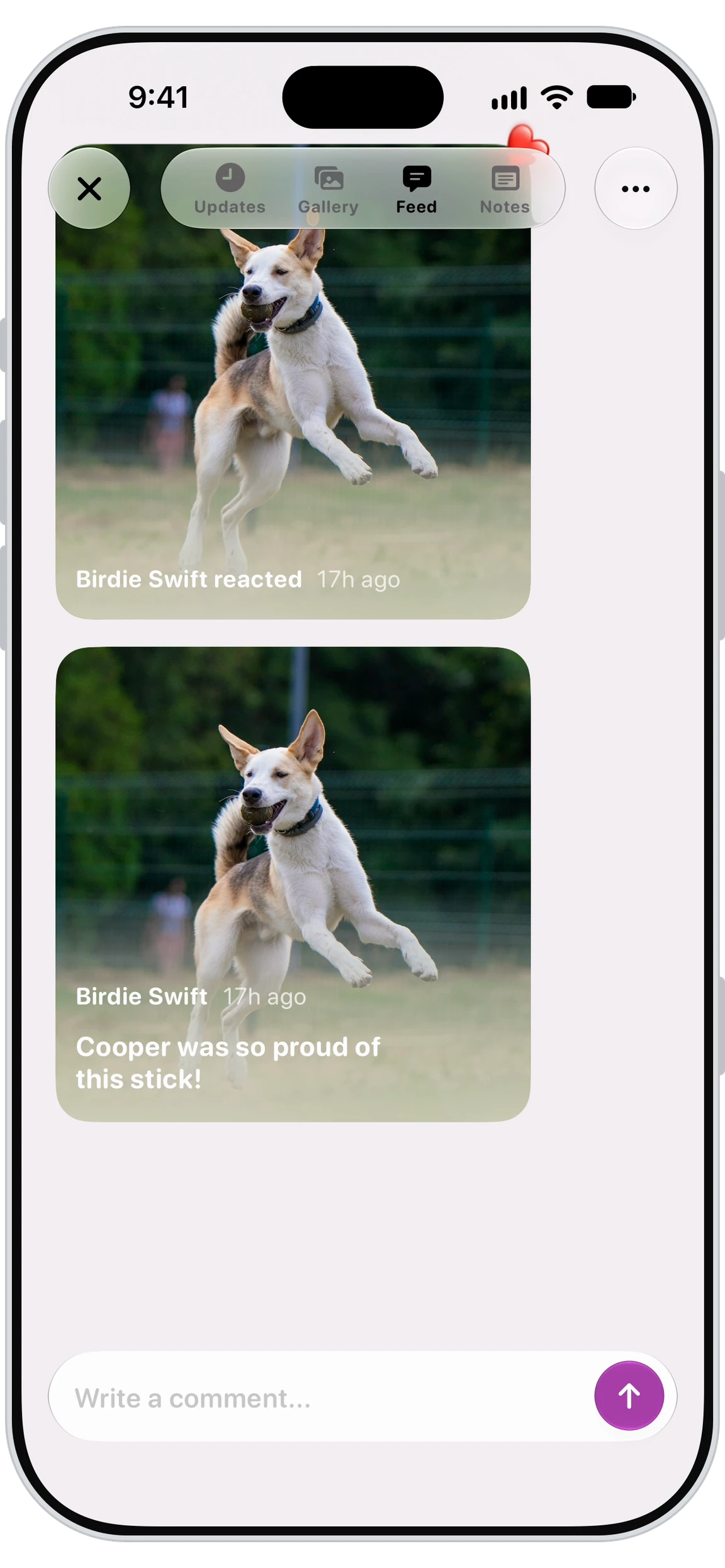 Walkies Journal app showing the activity feed with sitter updates